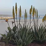 Pardelas, Mit Meer-, Kuesten- Und Bergblick Im Gruenen Norden Teneriffas Casa de Férias
