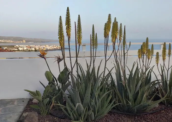 Pardelas, Mit Meer-, Kuesten- Und Bergblick Im Gruenen Norden Teneriffas 別荘